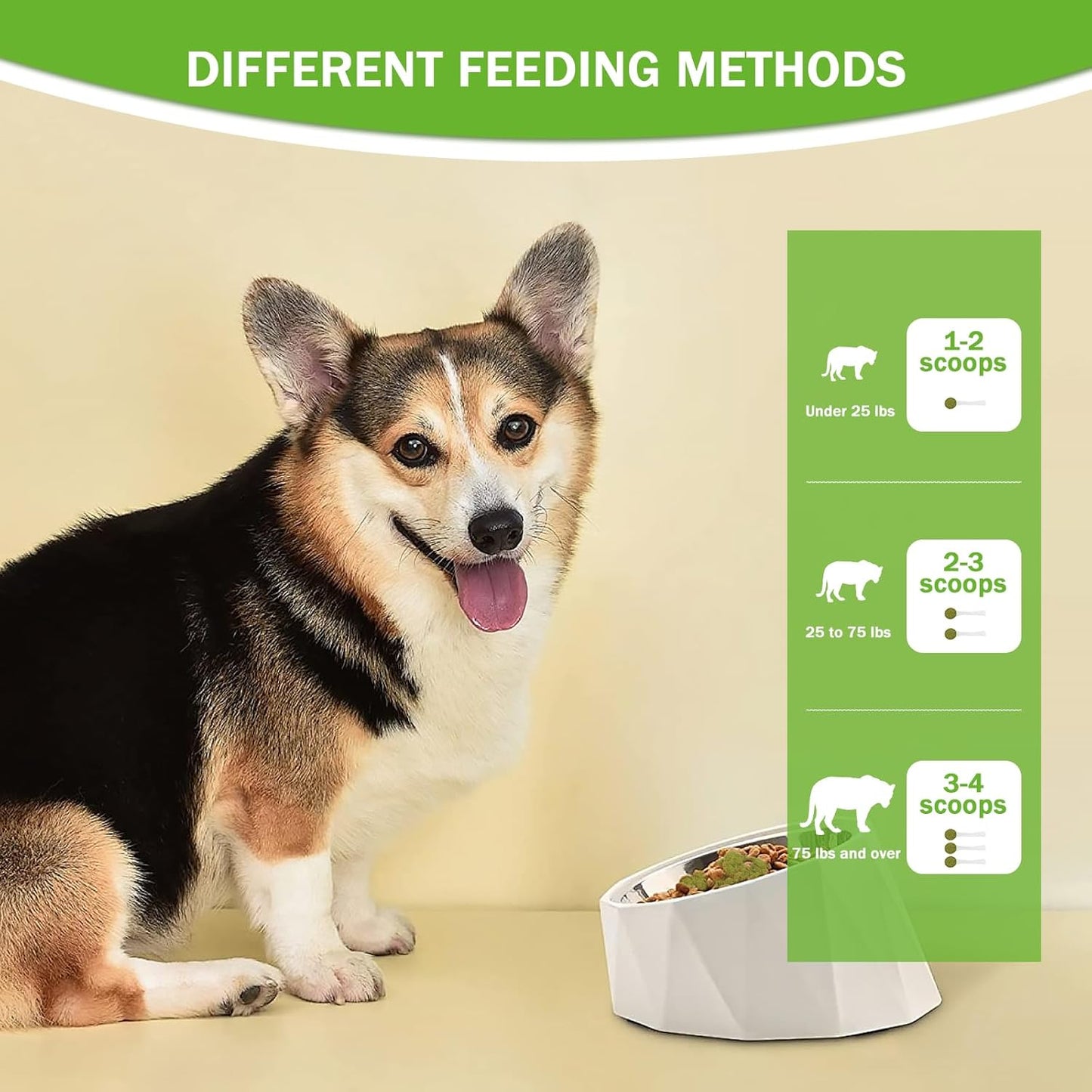 Breath Buddy Daily Dental Powder for Pets