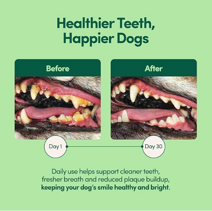 Breath Buddy Daily Dental Powder for Pets